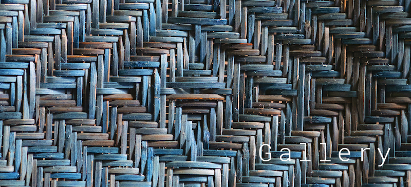 LOG GALLERY